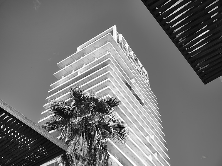 DSF